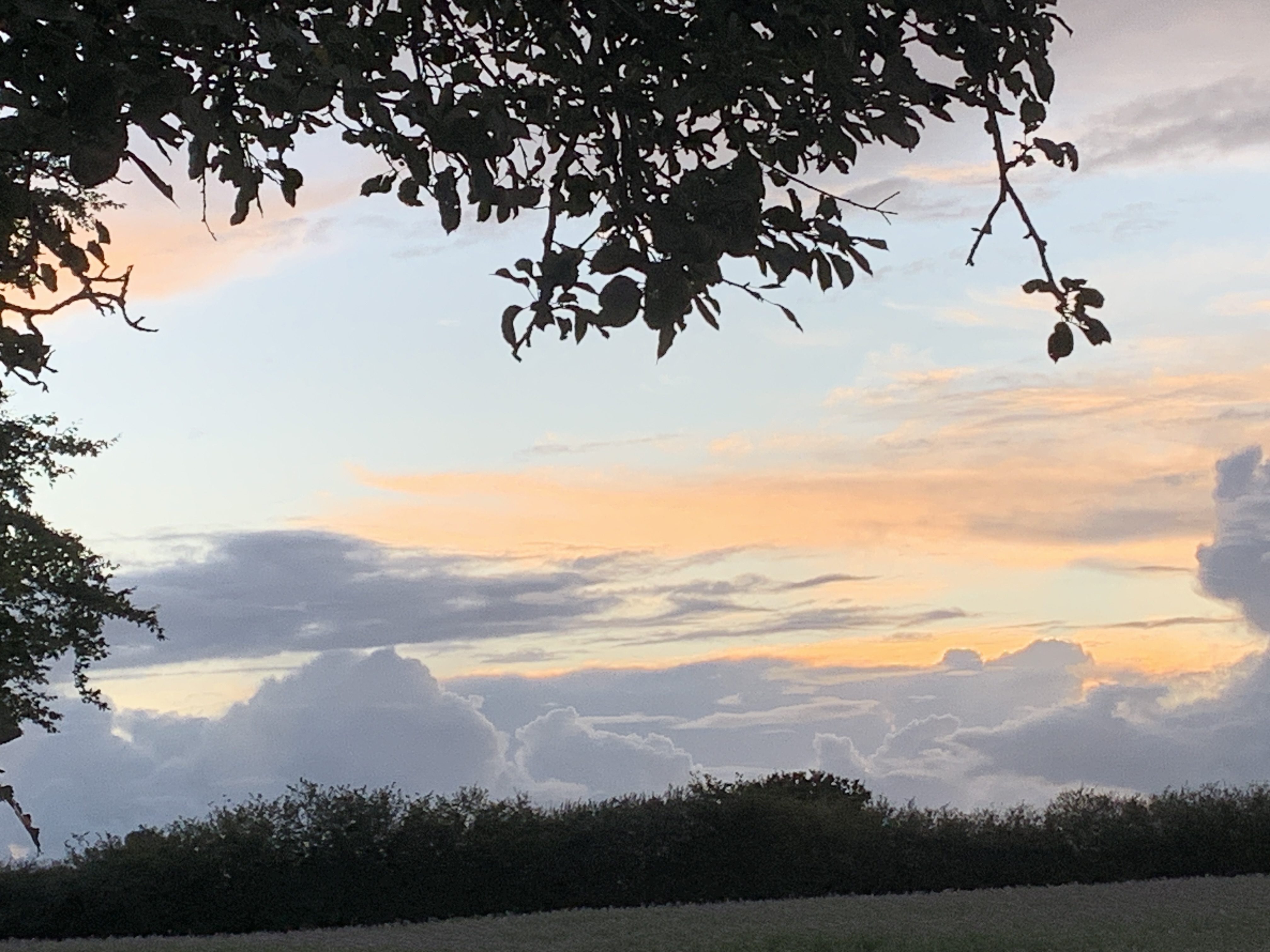 Bild von der Ausstellung